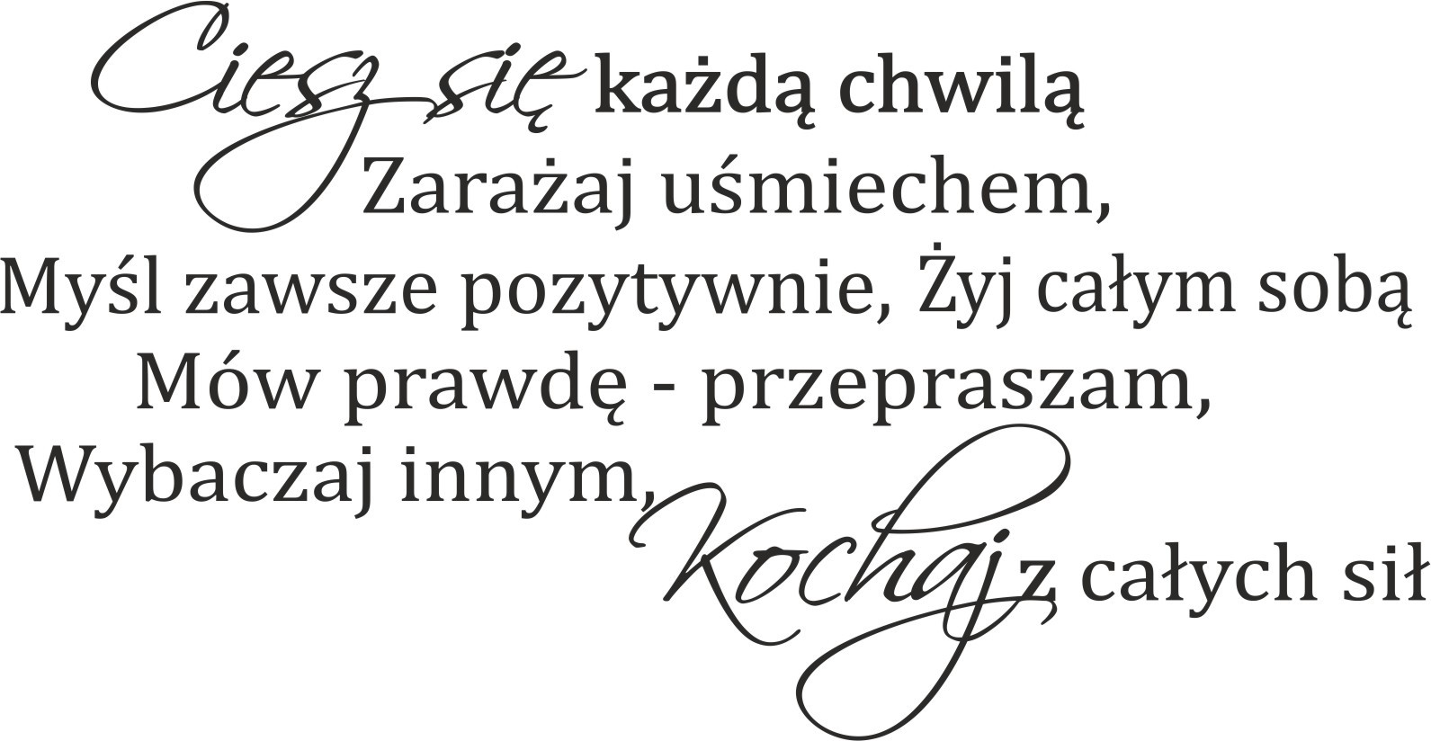 Nowoczesny napis na ścianę 559 naklejka ścienna Ciesz się chwilą