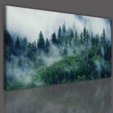 WYPRZEDAŻ 60X120 Obraz jednoczęściowy ścienny las w mgle 15175 Naklejkomania - zdjecie 3 - miniatura