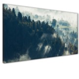 Obraz na ścianę do sypialni salonu mgła las 41363 Naklejkomania - zdjecie 1 - miniatura