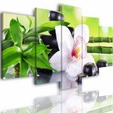Obrazy 5 częściowe- Kwiat orchidea storczyk biały 511 Naklejkomania - zdjecie 1 - miniatura