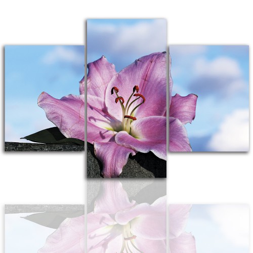 Tryptyk do salonu -  Pejzaż, kwiat, lilia 12261 Naklejkomania - zdjecie 1