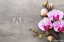 Spa orchid theme objects on grey background. Naklejkomania - zdjecie 1 - miniatura