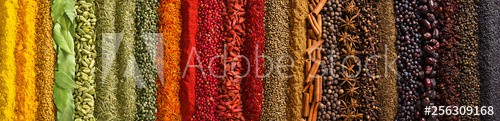 Panorama spices and herbs for food labels. Seasonings and flavors background - zdjęcie 1