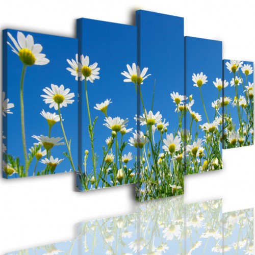 Obrazy 5 częściowe- Kwiat stokrotki łąka niebo 514 Naklejkomania - zdjecie 1