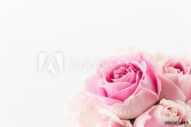 white and pink rose bouquet on white background Naklejkomania - zdjecie 1 - miniatura