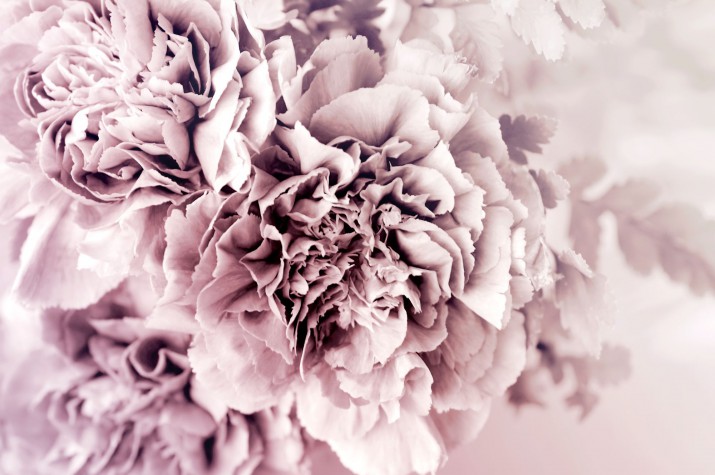 Panele kuchenne PCV 14291 Kwiaty - zdjęcie 2