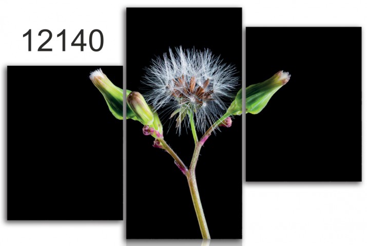 Tryptyk do salonu -  Kwiaty, dmuchawce 12140 Naklejkomania - zdjecie 1