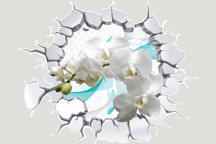Naklejka na ścianę, dziura 3D kwiaty storczyki magnolie 2390 - zdjęcie 2