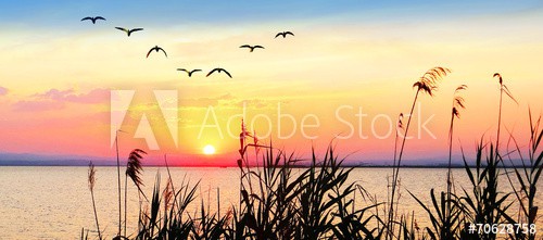 panoramica de un paisaje amaneciendo en el lago - zdjęcie 1