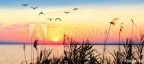 panoramica de un paisaje amaneciendo en el lago Naklejkomania - zdjecie 1 - miniatura