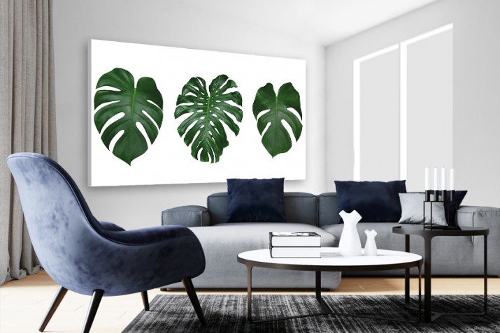 Obraz na ścianę do sypialni salonu monstera 41215 - zdjęcie 3