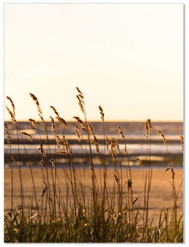 Plakat Nature Trawka 61020 Naklejkomania - zdjecie 1