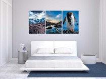 Obrazy na ścianę sypialni, salonu fale, morze góry, pingwin 20277 Naklejkomania - zdjecie 2 - miniatura