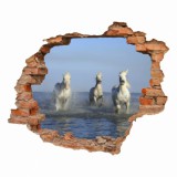 Naklejka na ścianę, dziura 3D  cegły konie galop morze 3195 Naklejkomania - zdjecie 2 - miniatura