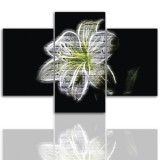 Tryptyk do salonu - Lilia kwiat 12238 Naklejkomania - zdjecie 1 - miniatura
