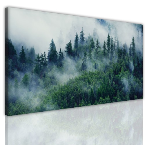 WYPRZEDAŻ 60X120 Obraz jednoczęściowy ścienny las w mgle 15175 Naklejkomania - zdjecie 1