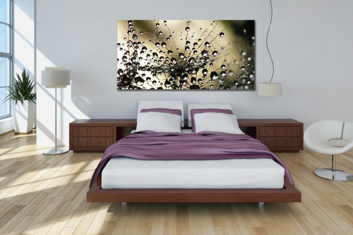 Obraz na ramie płótno canvas- Kwiaty dmuchawiec 12385 - zdjęcie 2