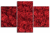 Tryptyk do salonu - Kwiaty, róże 12156 Naklejkomania - zdjecie 1 - miniatura