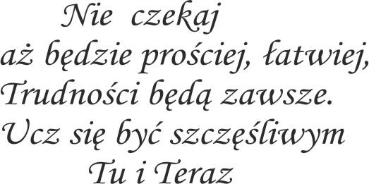 886 Naklejka dekoracyjna na ścianę, cytat - zdjęcie 2