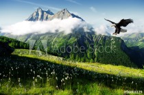 eagle in the Alps Naklejkomania - zdjecie 1 - miniatura
