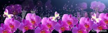Glowing banner with magic butterflies with mysterious neon orchids and sparkle stars for storefront flowers design or decor florist shop Naklejkomania - zdjecie 1 - miniatura