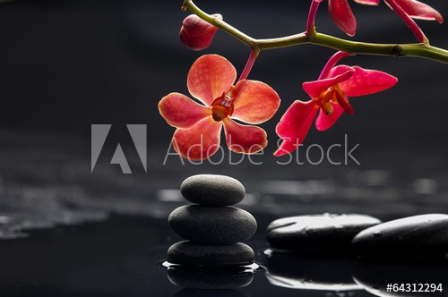 Still life with branch red orchid with therapy stones