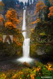 Multnomah Falls in Autumn colors Naklejkomania - zdjecie 1 - miniatura