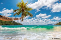 Paradise beach. Naklejkomania - zdjecie 1 - miniatura