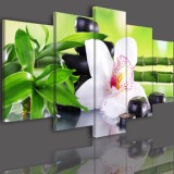 Obrazy 5 częściowe- Kwiat orchidea storczyk biały 511 Naklejkomania - zdjecie 3 - miniatura
