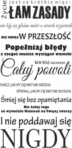 452 Naklejka ścienna cytat na ścianę Życie jest za krótkie więc - zdjęcie 2