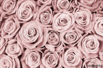 Rose flowers background Naklejkomania - zdjecie 1 - miniatura