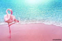 pink flamingo bird sandy beach and soft blue ocean wave summer concept background Naklejkomania - zdjecie 1 - miniatura