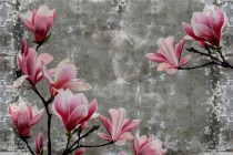Fototapety na ścianę 9942 tajemniczy kwiat Naklejkomania - zdjecie 2 - miniatura