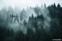 Misty landscape with fir forest in hipster vintage retro style Naklejkomania - zdjecie 1 - miniatura