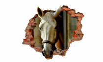 Naklejka na ścianę, dziura 3D  cegły okno koń 3000 Naklejkomania - zdjecie 2 - miniatura