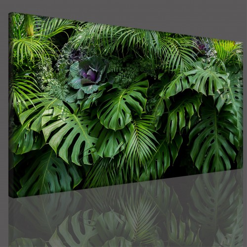Obraz na ramie płótno canvas- liście monstera 15076 - zdjęcie 3