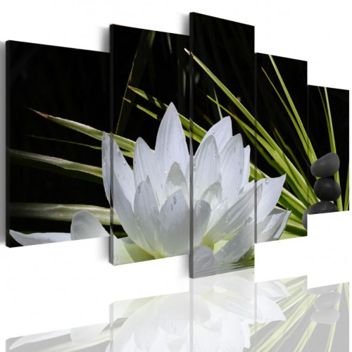 Obraz  5-częściowy- kwiaty pejzaż biały lotos kamienie 504 - 1