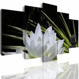 Obraz  5-częściowy- kwiaty pejzaż biały lotos kamienie 504 Naklejkomania - zdjecie 1 - miniatura