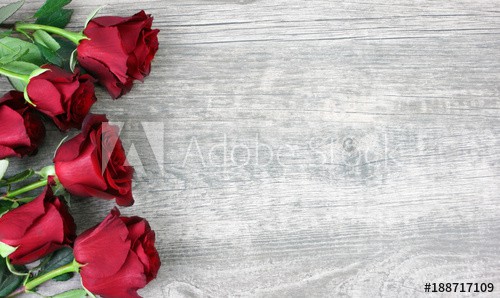 Beautiful Red Roses Still Life Over Rustic Wooden Background, Flowers Border, Shot From Above