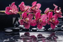 branch red orchid with therapy stones-wet background Naklejkomania - zdjecie 1 - miniatura