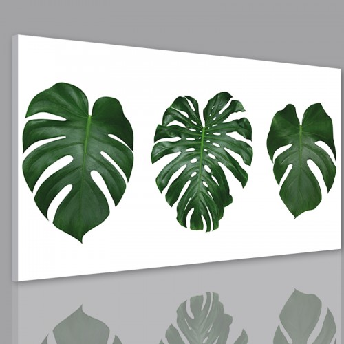 Obraz na ścianę do sypialni salonu monstera 41215 - zdjęcie 2