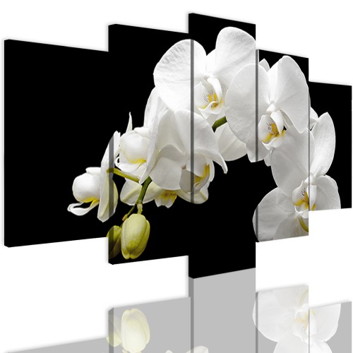 Obrazy 5 częściowe- Orchidea, storczyk, zen 12287 Naklejkomania - zdjecie 1