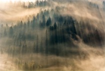 Fototapety na ścianę góry las mgła 40425 Naklejkomania - zdjecie 2 - miniatura