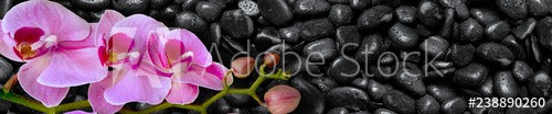 Pink Orchid lies on black stones - zdjęcie 1