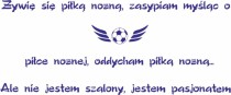 471 Piłkarska naklejka na ścianę dekoracja dla małego piłkarza Naklejkomania - zdjecie 2 - miniatura