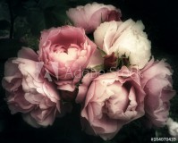 Beautiful bouquet of pink roses, flowers on a dark background, soft and romantic vintage filter, looking like an old painting Naklejkomania - zdjecie 1 - miniatura