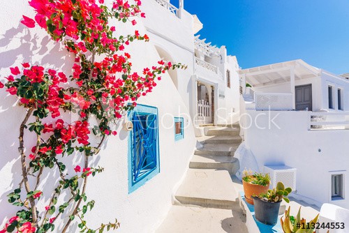 Traditional cycladic whitewashed street with blooming bougainvillea in the summer, Santorini, Greece - zdjęcie 1