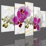 Obrazy 5 częściowe-  Storczyk, orchidea, zen 12300 Naklejkomania - zdjecie 3 - miniatura