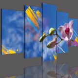 Obrazy 5 częściowe- Kwiaty, storczyki 12308 Naklejkomania - zdjecie 3 - miniatura