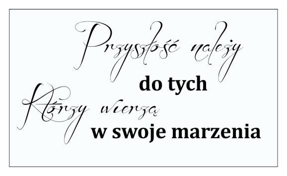 634 Naklejki napisy na ścianę Przyszłość należy do tych którzy wierzą w swoje marzenia - zdjęcie 2